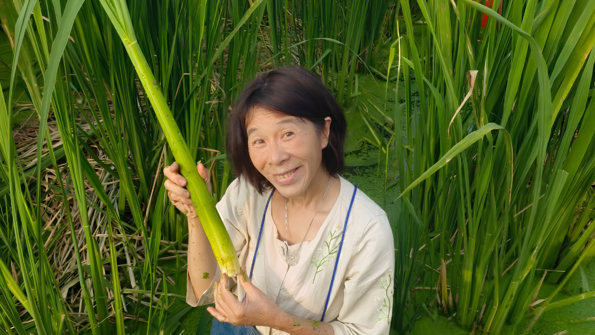 台湾訪問の様子