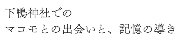 下鴨神社での
マコモとの出会いと、記憶の導き